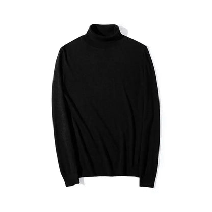 High Quality Turtleneck Sweater Men Pullover Basic Solid Turtle-Neck Sweater Male Black Wine red Green Grey Purple Knitwear Man