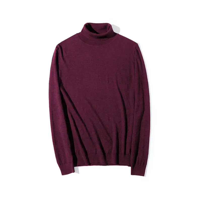 High Quality Turtleneck Sweater Men Pullover Basic Solid Turtle-Neck Sweater Male Black Wine red Green Grey Purple Knitwear Man