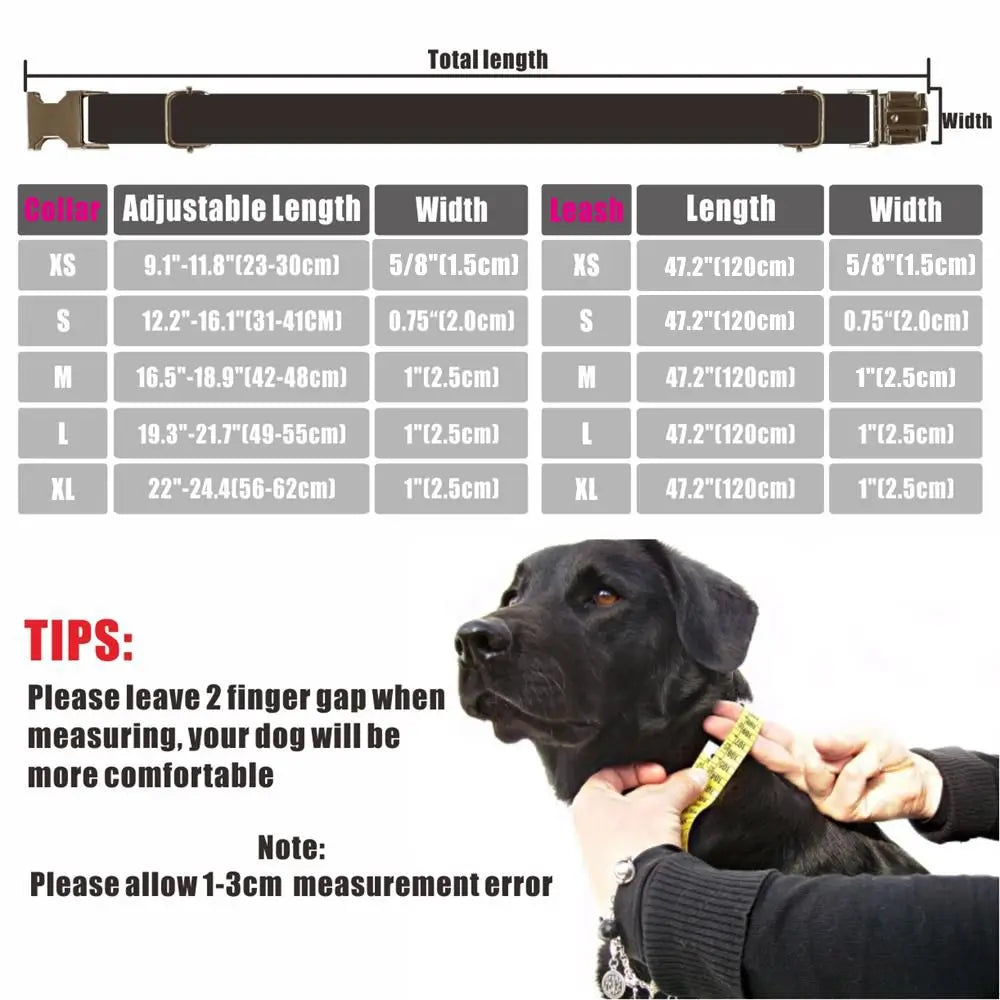 Personalized Pet Collar Warning Sign DO NOT PET I Need Space Custom Puppy Cat Name ID Tag Adjustable Basic Dog Collars