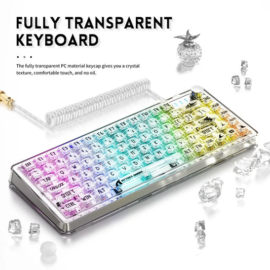 TKL Hot Swappable Wired Keyboard, Transparent PC Keycaps, Custom RGB Gaming Keyboard, Gasket Keyboard, Linear Switch