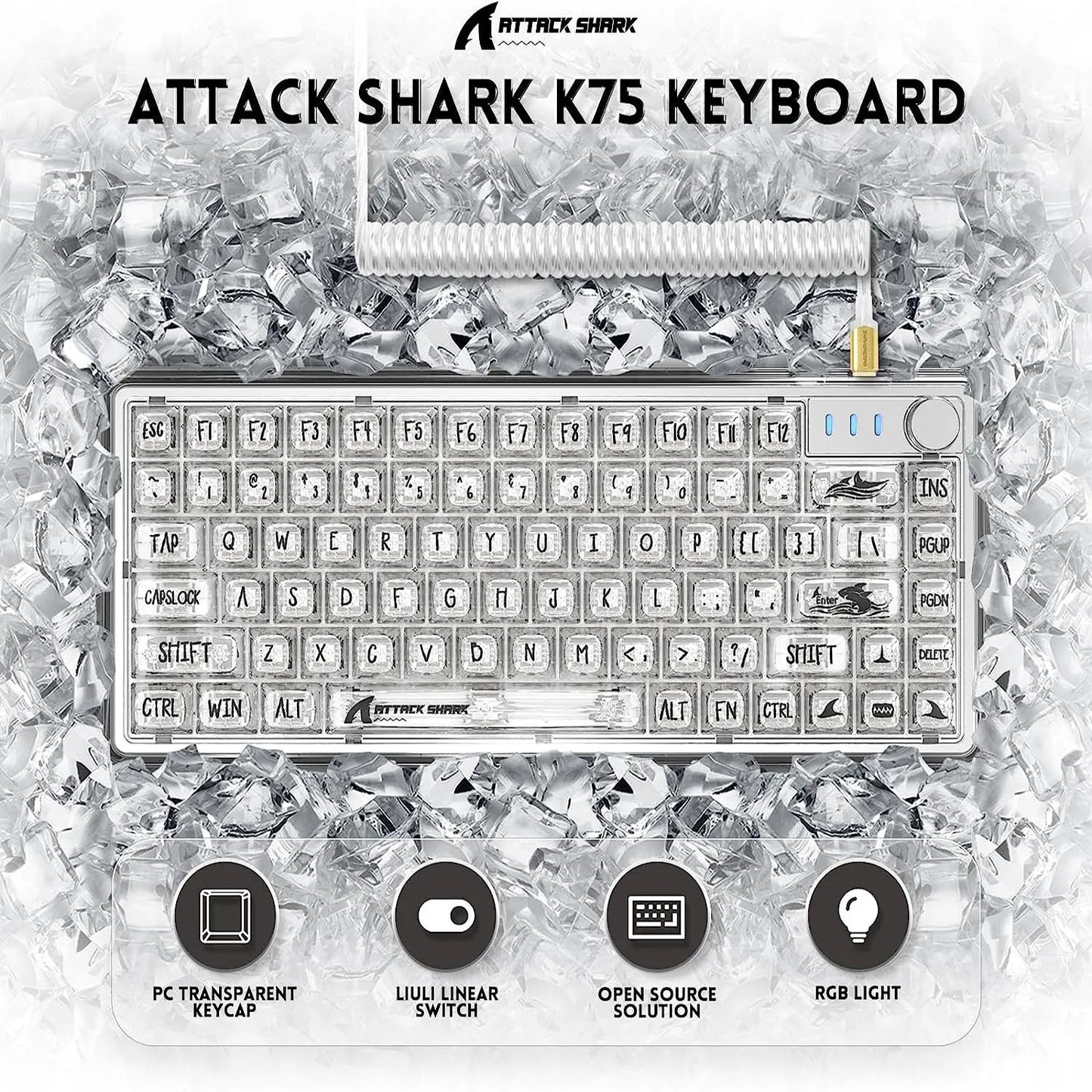 TKL Hot Swappable Wired Keyboard, Transparent PC Keycaps, Custom RGB Gaming Keyboard, Gasket Keyboard, Linear Switch