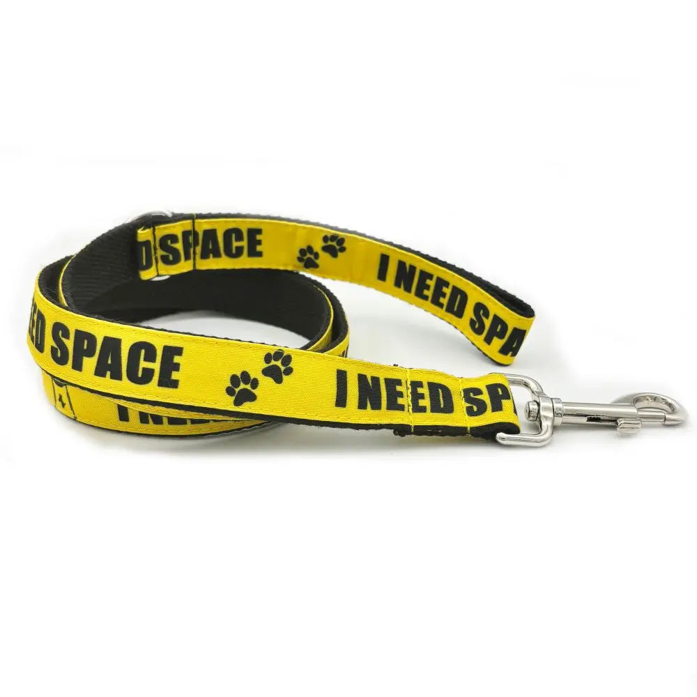 Personalized Pet Collar Warning Sign DO NOT PET I Need Space Custom Puppy Cat Name ID Tag Adjustable Basic Dog Collars