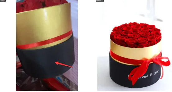 Eternal Roses in Gift Box