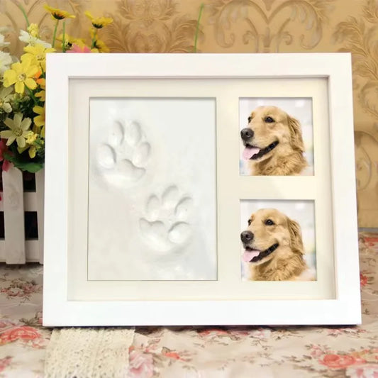 Pet Pawprint Frame DIY