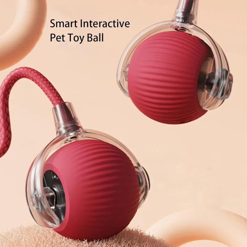 360 Smart Automatic Rolling Pet Ball