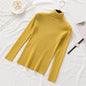 Pullover Women Knitted Turtleneck Sweater